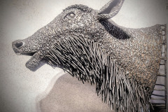 Ahead-Of-The-Herd-07