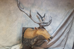 Ahead-Of-The-Herd-12