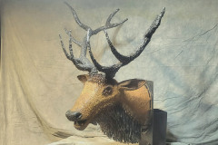 Ahead-Of-The-Herd-17