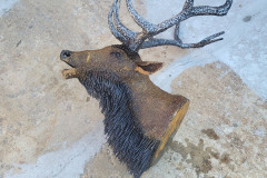 Ahead-Of-The-Herd-21