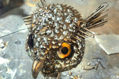 Hoo-What-Where-When-05