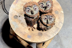 Hoo-What-Where-When-06