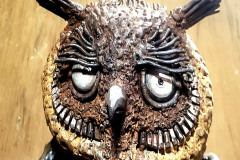 Hoo-What-Where-When-11