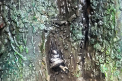 Hoo-What-Where-When-19