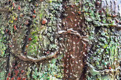 Hoo-What-Where-When-21